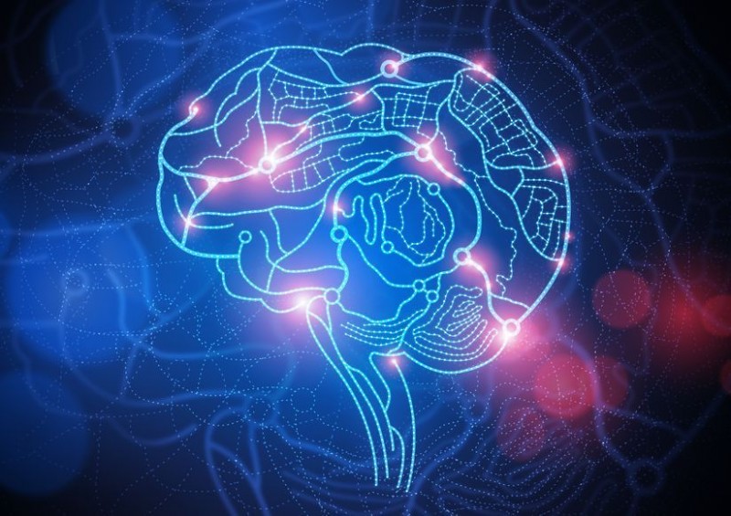 South Korea Launches a Brain-mapping Project