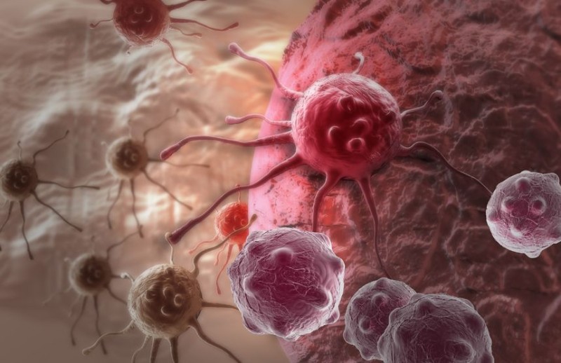 New Step Forward in Domestic Cancer Treatment