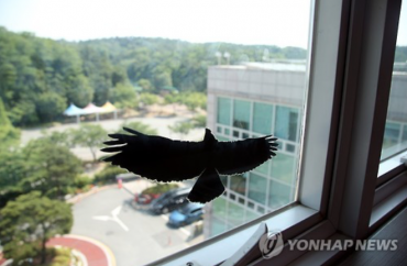 Korea Installing Bird-Savers to Prevent Bird-Window Collisions