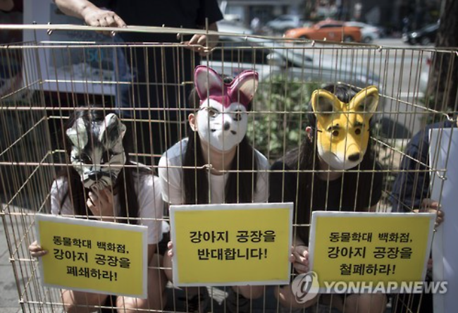 Members of the Korea Association for Animal Protection held a rally at Hongdae, Seoul, demanding closure of 'dog factories'. (image: Yonhap)