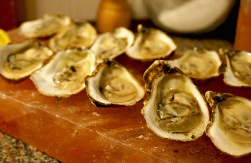 Empty Oyster Shells Help Reduce Sulfur Emissions from Power Plants