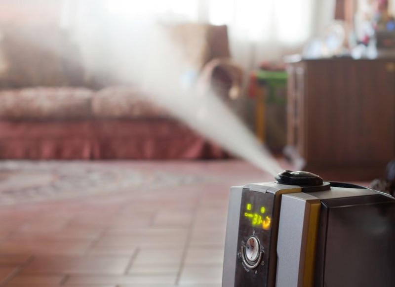 Air Purifiers in Spotlight amid Toxic Substance Controversy