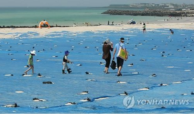 The sand at Gwakji Beach is covered for protection against wind. (image: Yonhap)