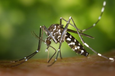 Amid Zika Scare, S. Korea Sends Largest Medical Team