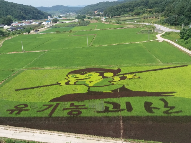 Korean Farms Present Rice Paddy Artwork