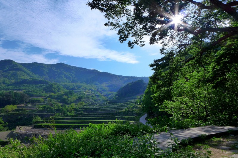 Korea Plans to Sell ‘Clean Air’ from Jirisan National Park