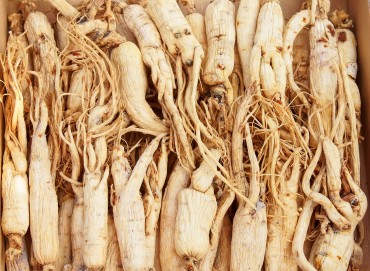 Ginseng Helps Reduce Anxiety, Promotes Deep Sleep: Study