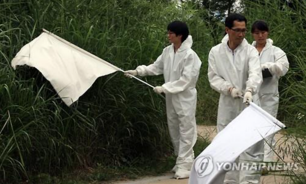 “With the prolonged heat wave, we captured about 50 percent more of these mites when we were out to collect specimens,” said research professor Lee Hwae-sun from Chonbuk National University. (image: Yonhap)