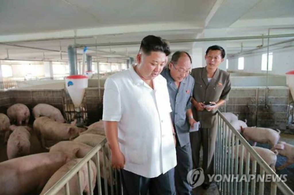 North Korean leader Kim Jong-un visits the Taedonggang Pig Farm in this photo released by the North's Korean Central News Agency on Aug. 18, 2016. (image: Yonhap)