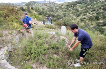 Beolcho – Korea’s Traditional Pruning of Ancestral Graves