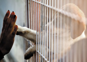 Animal Rights Activists Criticize E-Mart Pet Shop, Demand Transparency