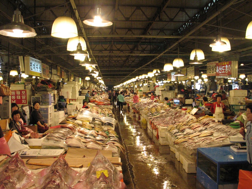 The local fishing industry is estimated to have suffered damage worth 8.5 billion won (US$7.3 million) as massive amounts of fish and shellfish in fishing grounds died across the country. (image: Wikimedia)
