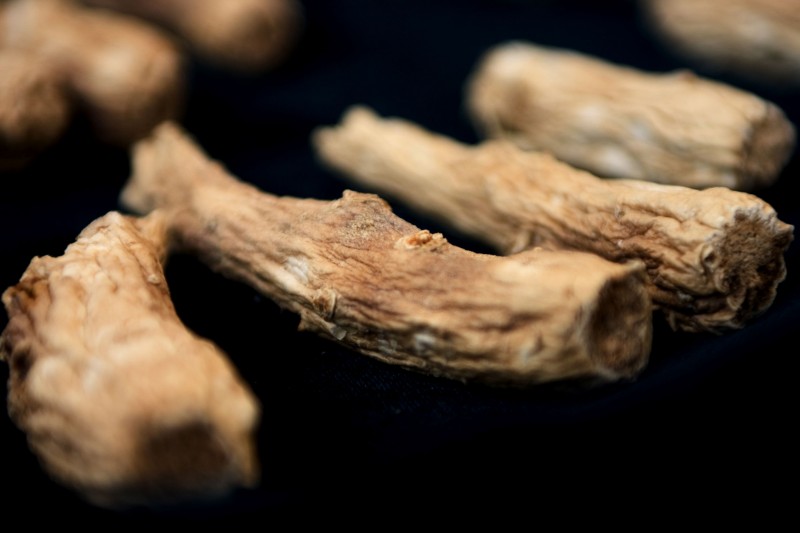 Scientists Make Progress in Skin Aging Research Using Red Ginseng