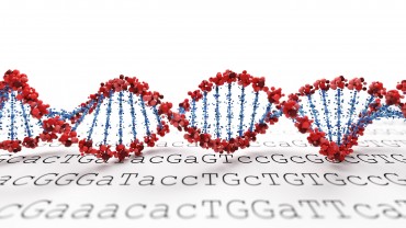 Scientists Complete Korean-Specific Reference Genome