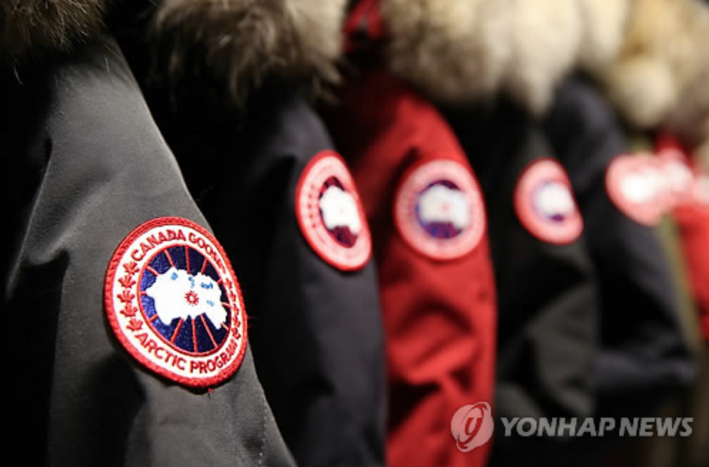 Black Friday Hype Leads To Counterfeit Canada Goose Victims Be Korea Savvy
