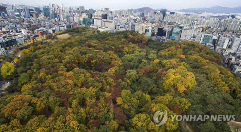 Seoul’s City Park of Royal Tombs Finds Autumn Colors