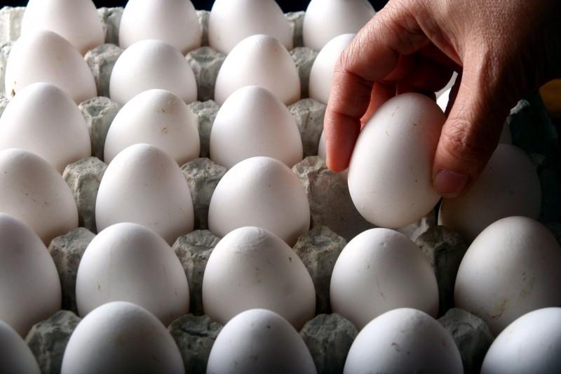 Egg Crisis Imminent with Historic Bird Flu Outbreak