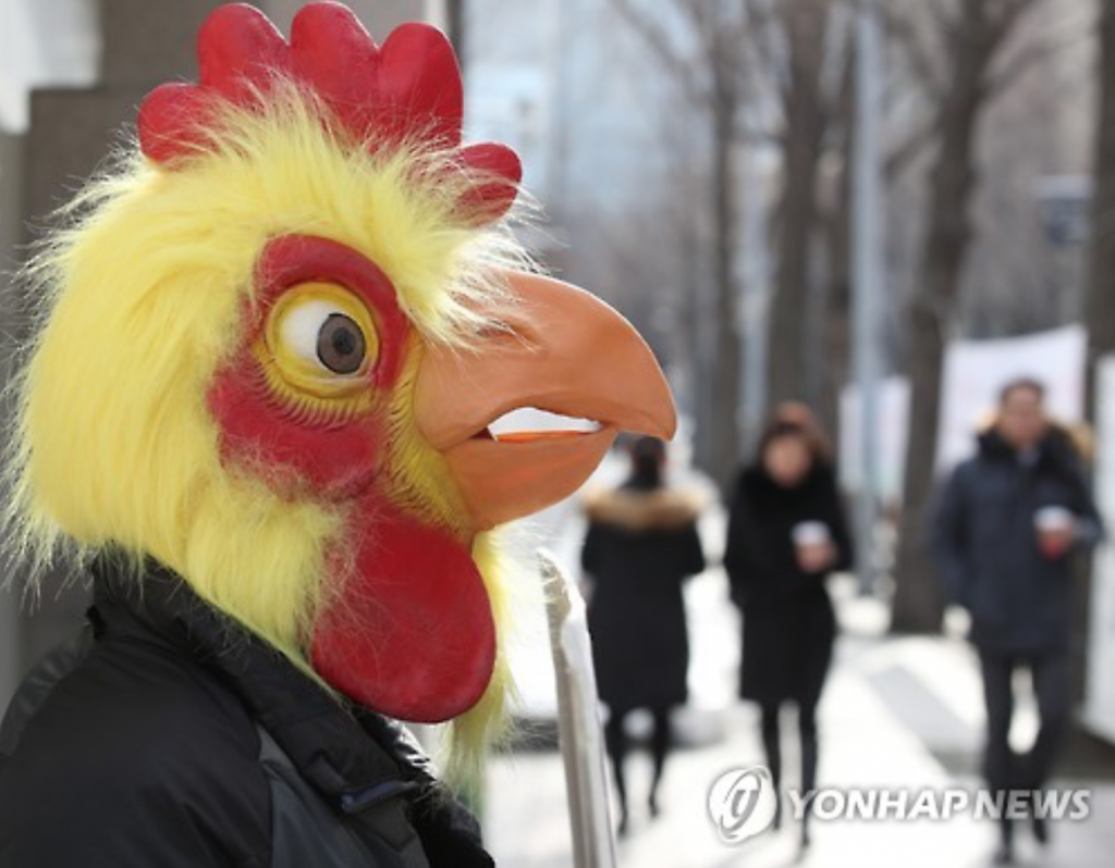 chicken protest