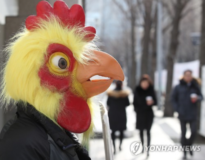 Activist in Chicken Mask Opposes Mass Culling