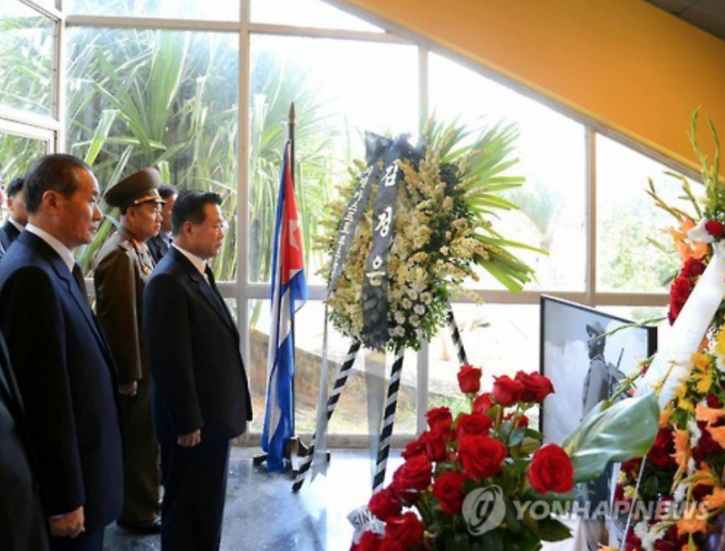 N.K., Cuba Vow to Expand Friendly Ties