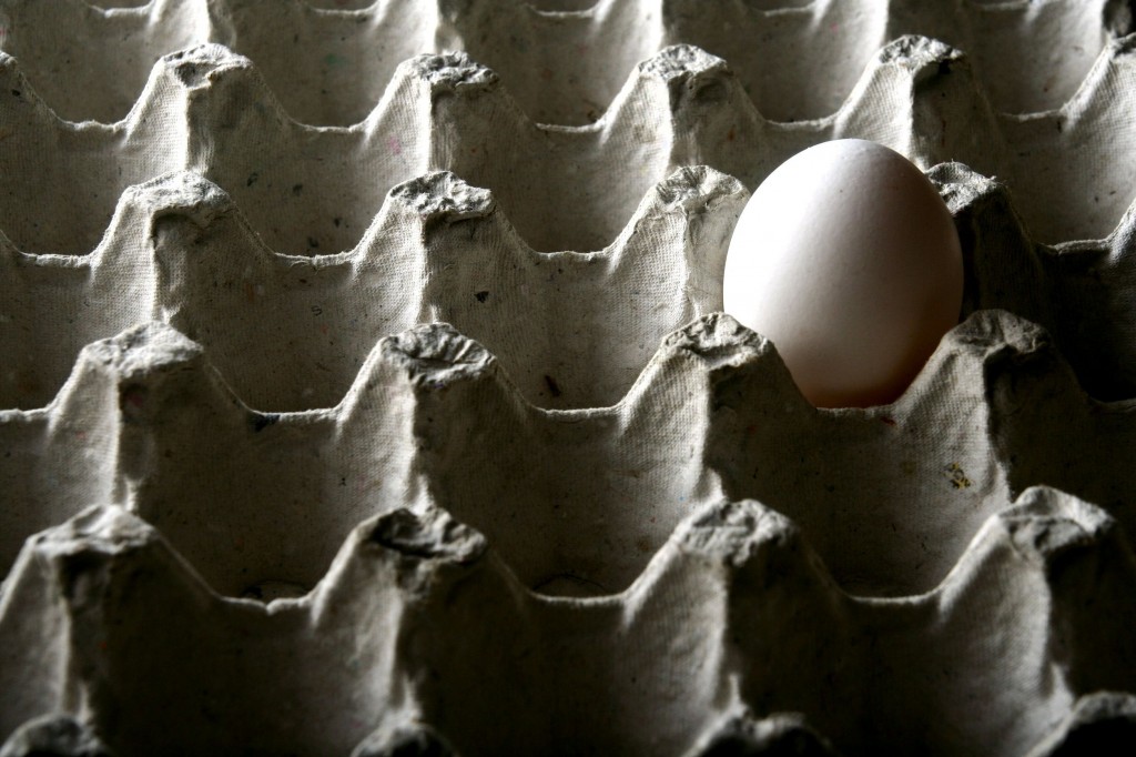 “Over 30 percent of layer chickens have been slaughtered so far, affecting our egg supply to the military." (image: KobizMedia/ Korea Bizwire)