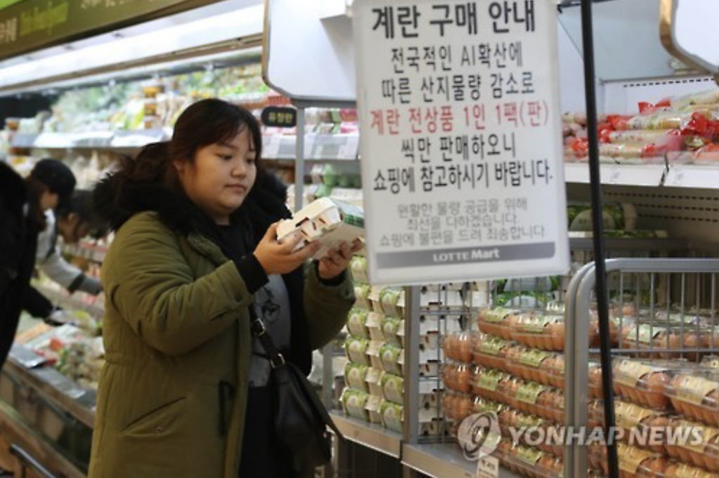 The outbreak of bird flu and the subsequent massive culling of poultry have sent fresh egg prices skyrocketing due to limited supply. (image: Yonhap)