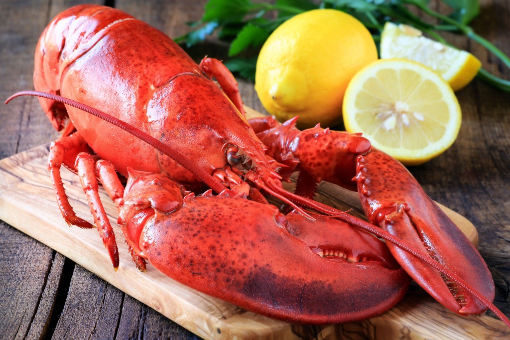 Lobster imports have been replaced annually with a new record for the past five years, with 63.7 percent of them coming from Canada. (image: KobizMedia/ Korea Bizwire)