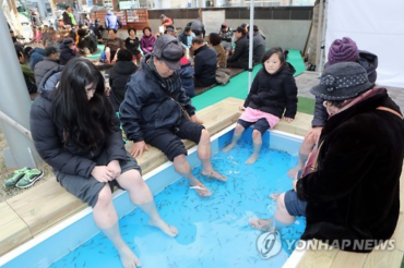 Foot Bath with Doctor Fish