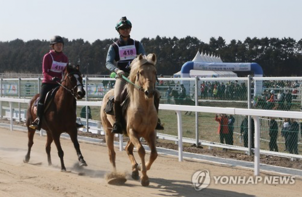 The Performance of Endurance Horses