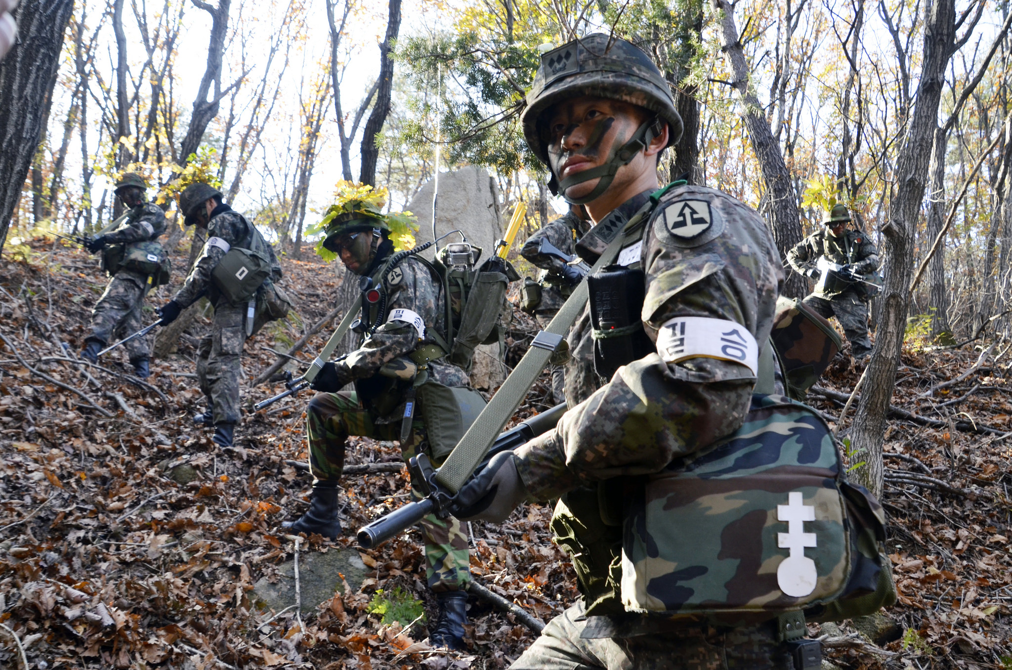 (Image: Republic of Korea Army)