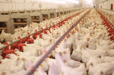 Gov’t Says 23 Egg Farms Found to be Contaminated with Pesticides