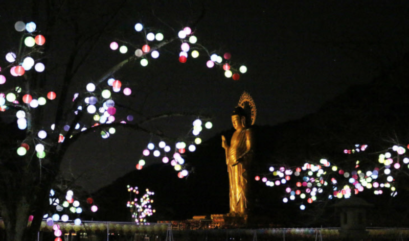 9,000 Paper Lanterns Light up Local Temple for Buddha’s Birthday