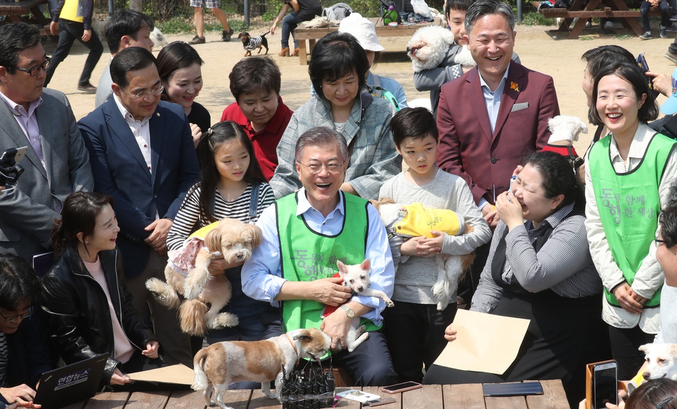 Moon’s pets made appearances on his social media accounts prior to the election, which left a good impression on voters who were concerned about animal welfare along with his animal-friendly policies. (Image: Yonhap)