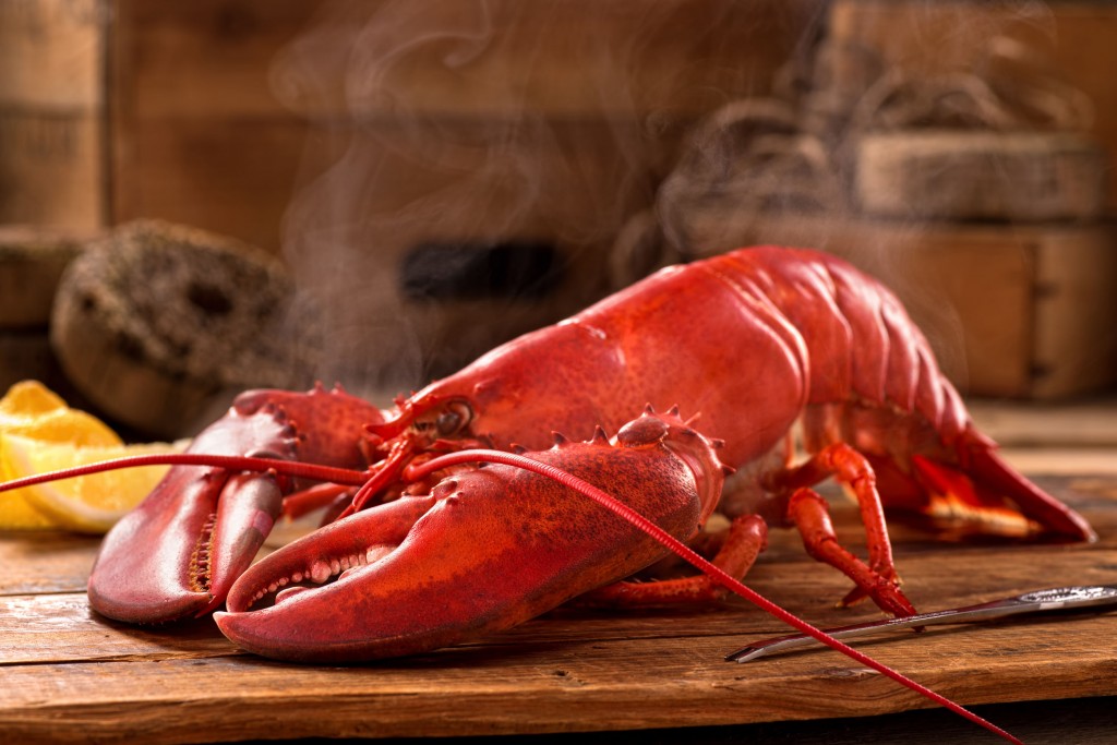 "American lobsters are less popular than Canadian products due to less meat and local consumers and restaurants were deceived by the label changes." (image: KobizMedia/ Korea Bizwire)