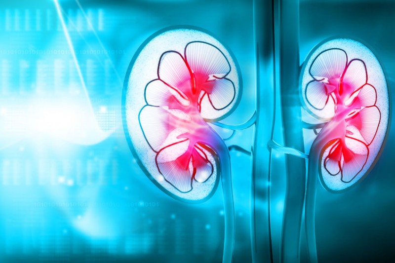 Mismatched Kidney Transplants Between Married Couples Increase
