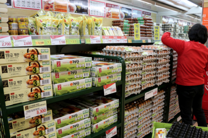 Gov’t Moves to Import Danish, Thai Eggs amid Supply Shortage