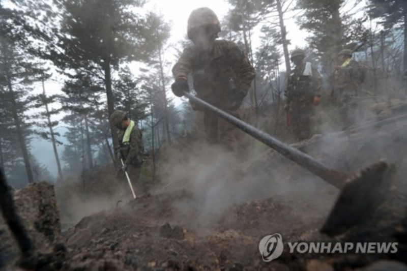 Military Efforts Shine in Gangwon Forest Fire