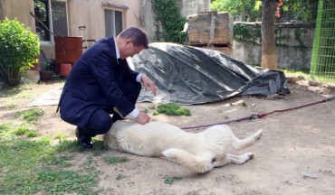 President Moon’s Animal Companions Reunited at Blue House