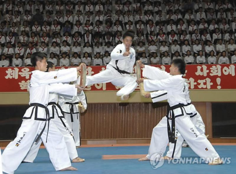 Taekwondo Exchange Between Koreas Expected to Resume