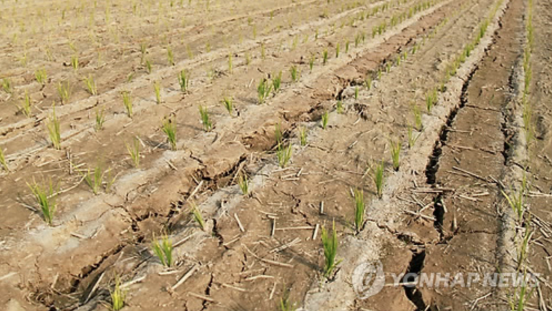 Severe Drought Gripping South Korean Farms