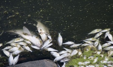 Ecological Refuges to Protect Fish During Droughts