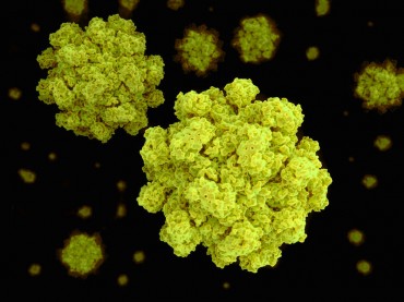 South Korean Research Team Sells High-Speed Norovirus Diagnosis Technology