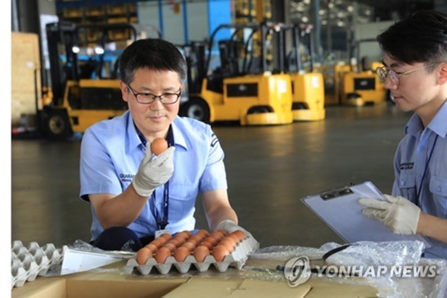 Eggs Imported from Thailand Arrive in South Korea