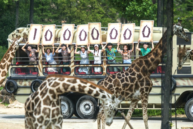 Everland’s Safari Theme Park Draws 10 mln