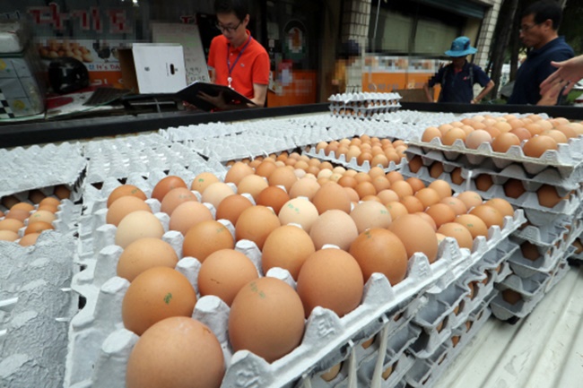 According to the Ministry of Agriculture, Food and Rural Affairs on Wednesday, six of the seven chicken farms where the use of controversial harmful pesticides including Piperonyl butoxide and bifenthrin was reported were found to have been certified by the government as environment-friendly facilities. (Image: Yonhap)