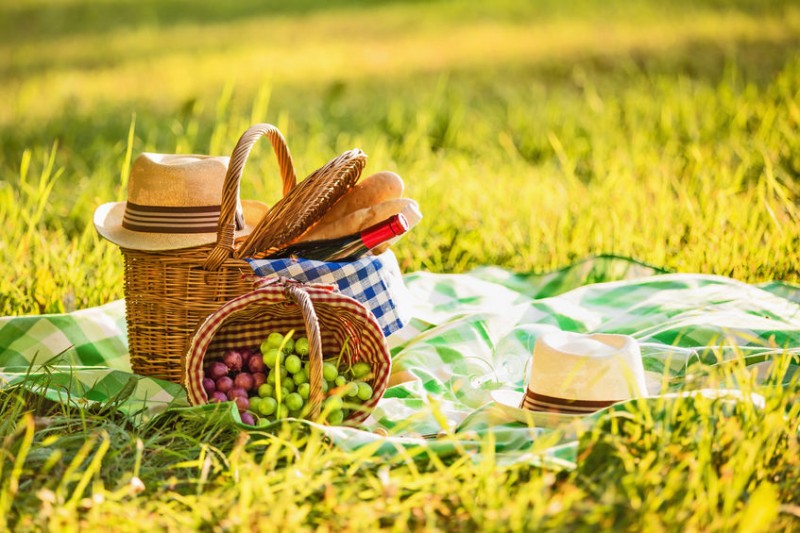 Sales of Picnic Products Increase as Consumers Shift Away from Camping Sales of Picnic Products Increase as Consumers Shift Away from Camping