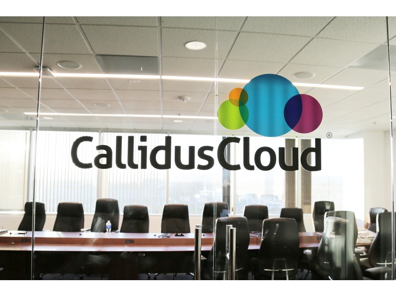 (image: Callidus Software)