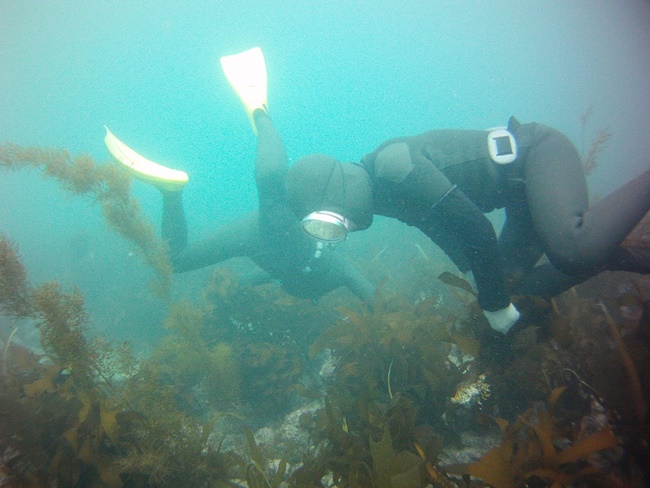 Jeju’s ‘Haenyeo’ Female Divers to Receive Government Allowance