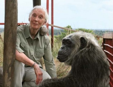 British Anthropologist and Environmentalist Jane Goodall Doesn’t Hide Disdain for Politicians at Yeouido “Eco Talks” Event