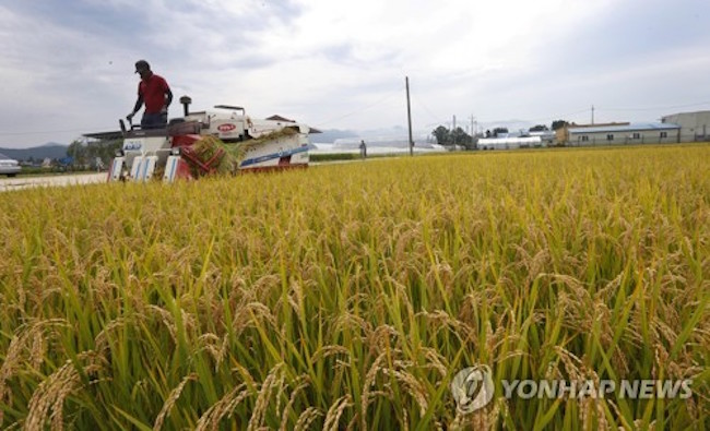 South Korea Aims to Join Food Assistance Convention, Donate 50,000 Tons of Rice